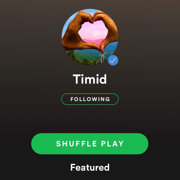 Verified on Spotify